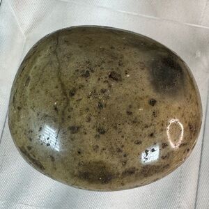 Ocean Jasper Palm Stone - Unique Coloring- Moonlike 🌕